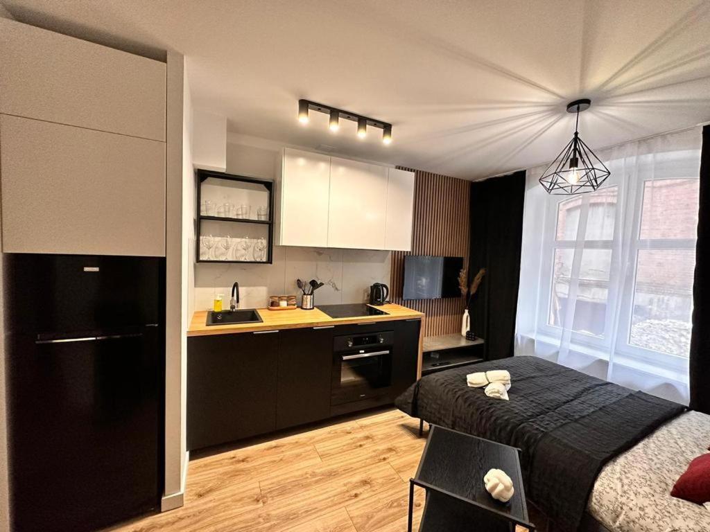 Cozy Apartments Żwirki Katowice Centrum Zewnętrze zdjęcie